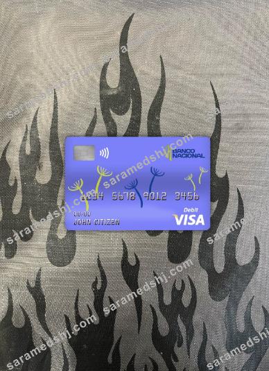 Costa Rica banco nacional bank visa card photolook front